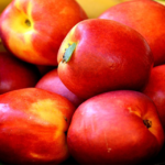 Nectarines