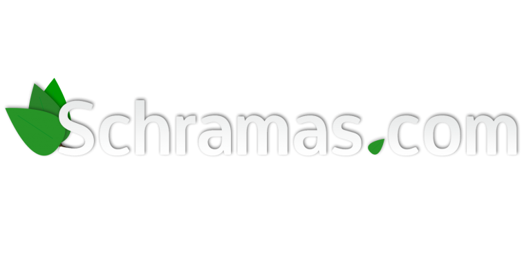 Afbeelding zonder ALT