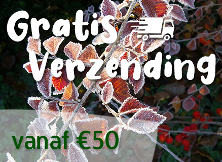 Gratis verzending vanaf 50 euro