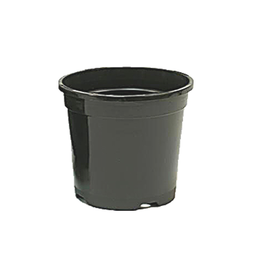 Nog geen productfoto beschikbaar
