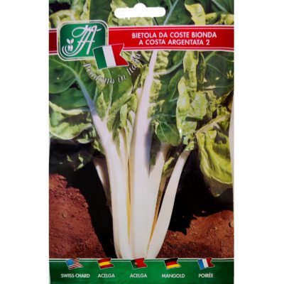 Bette à carde 'Da Coste Bionda A Costa Argentata 2' (Beta vulgaris vulgaris)