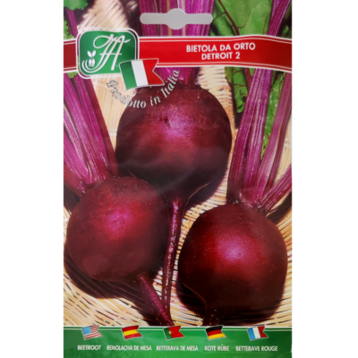Rote Kugelrübe 'Bietola Da orto Detroit 2' (Beta vulgaris)