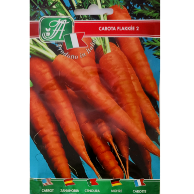 Vintergulerod 'Flakk?e 2' (Daucus carota sativus)