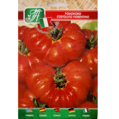 Beef tomato 'Costoluto Fiorentino' (Solanum lycopersicum)