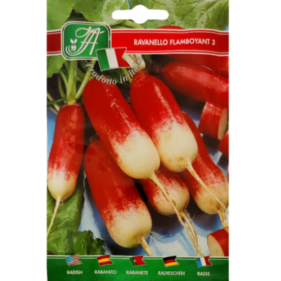 Rettich mittellang 'Flamboyant 3' (Raphanus sativus)
