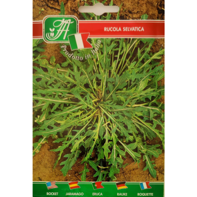 Rucola 'Selvatica' (Diplotaxis tenuifolia)