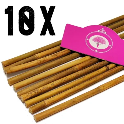 Set van 10x bamboestokken - Circa 150cm - Dikte 10/12mm - Tonkinstokken - Bamboe - plantensteun